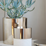 color: alabaster silver - cassis frais