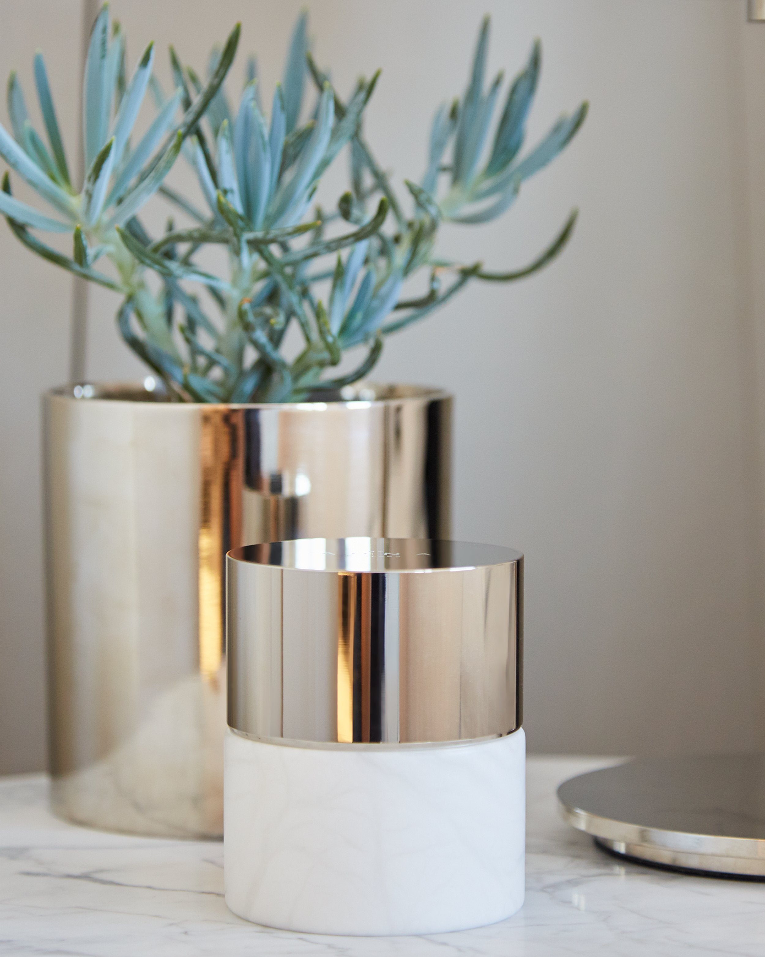 color: alabaster silver - cassis frais